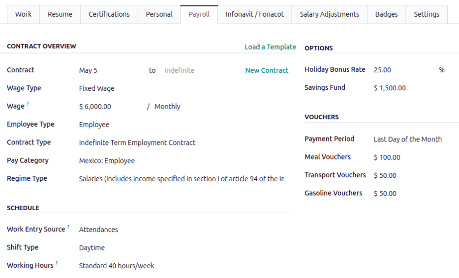 The payroll tab of an employee form, filled out for Mexico.